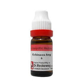 Dr. Reckeweg Echinacea Ang Dilution - Safuron Naturals